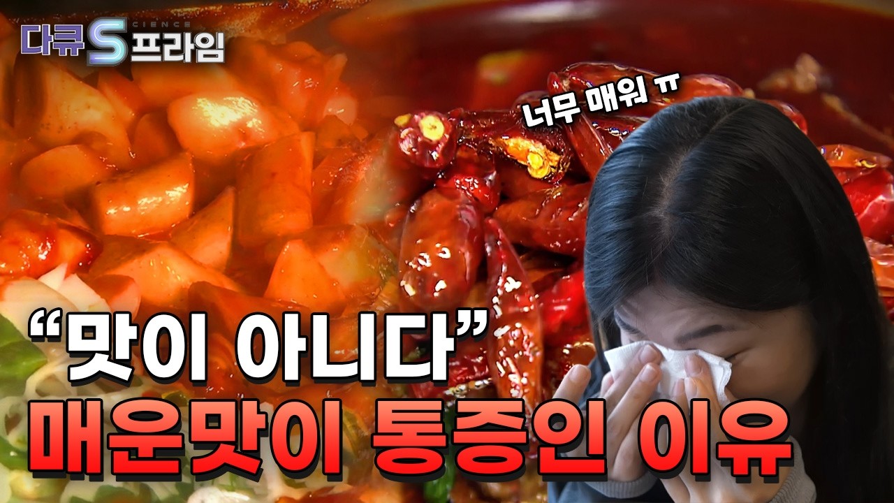 [다큐S프라임] 매운맛, 통증과 쾌락 사이