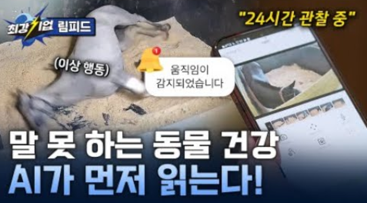  [최강기업] AI로 읽는 동물 건강! 동물 헬스케어 솔루션 / YTN 사이언스