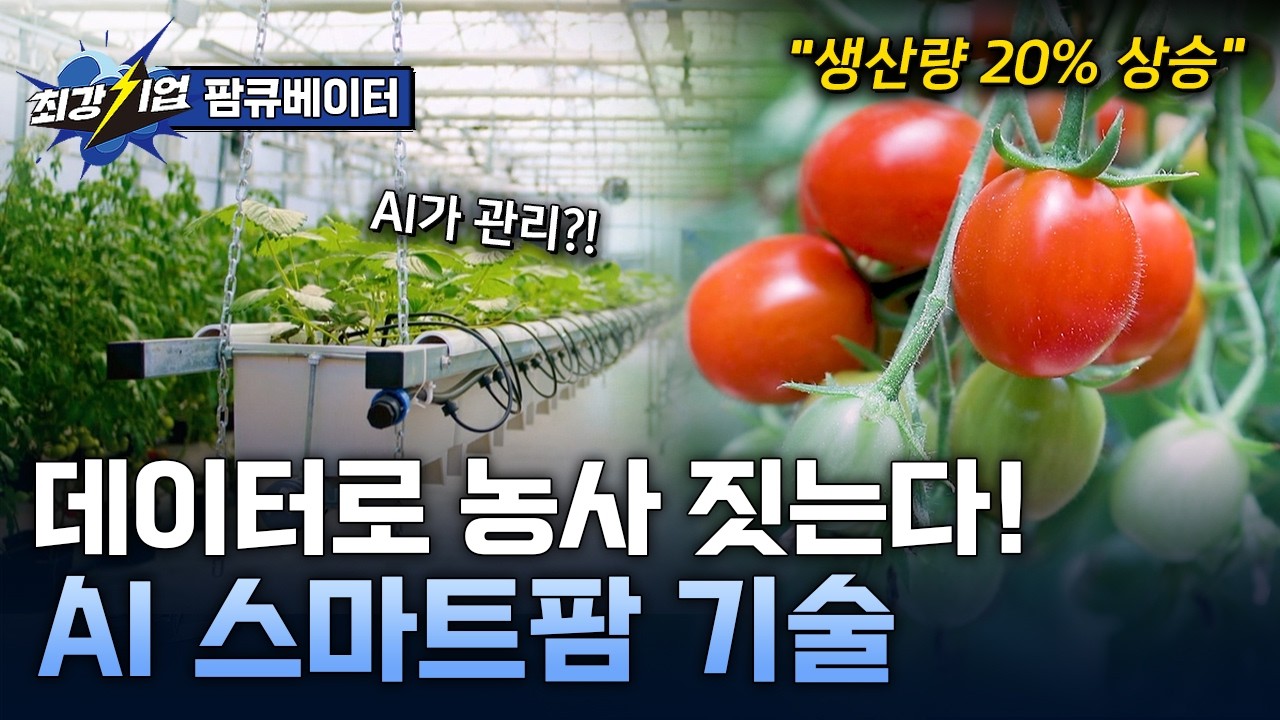  [최강기업] 스마트팜에 데이터를 더하다! AI 스마트팜 기술 / YTN 사이언스
