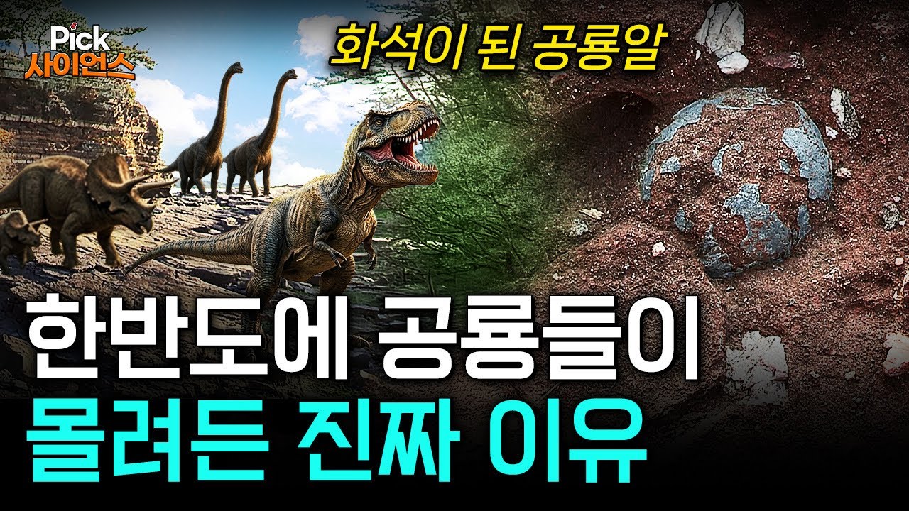  “볼수록 놀라운 광경” 한반도는 공룡들의 ‘최후의 낙원’이었다 / YTN 사이언스