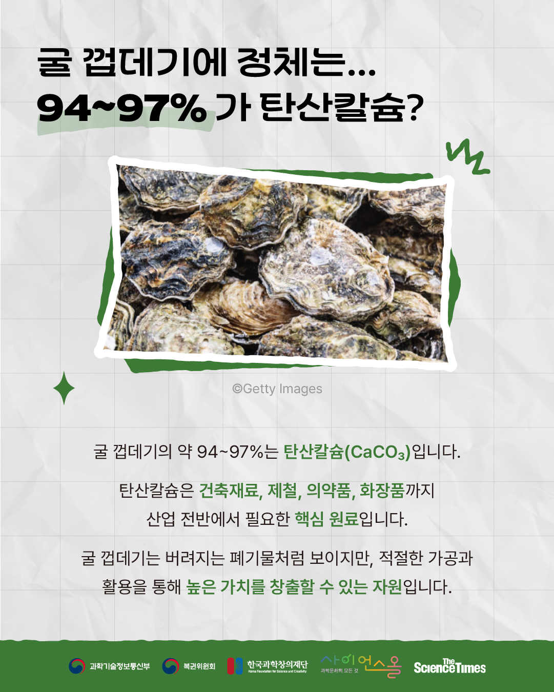 굴 껍데기 3