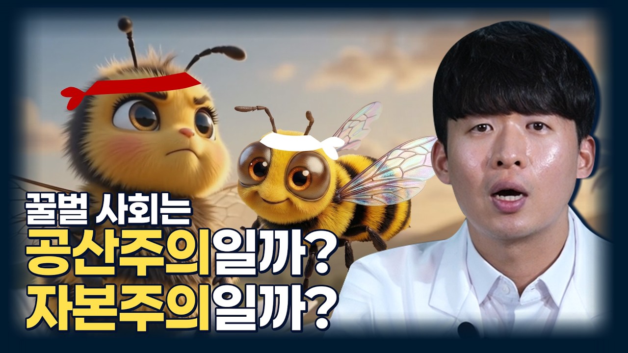 인간보다 공정하다? 춤으로 집을 정하는 꿀벌 사회의 놀라운 민주주의 [와이언스] / YTN 사이언스