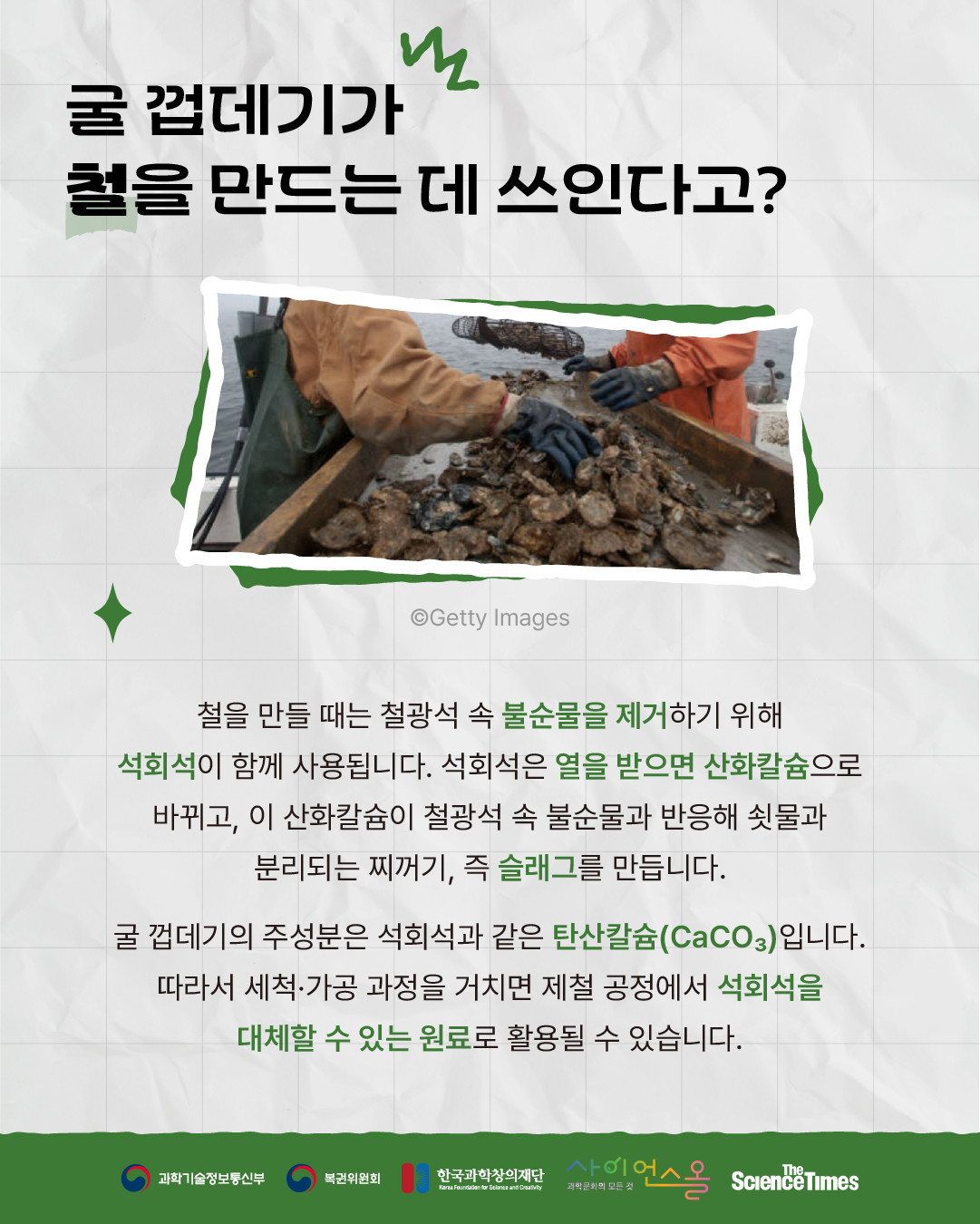 굴 껍데기 5