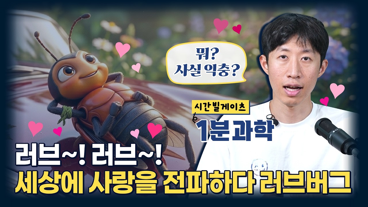 러브버그가 익충이었다고? 러브버그가 우리 몰래 지구를 위해서 하는 일들 [와이언스] / YTN 사이언스