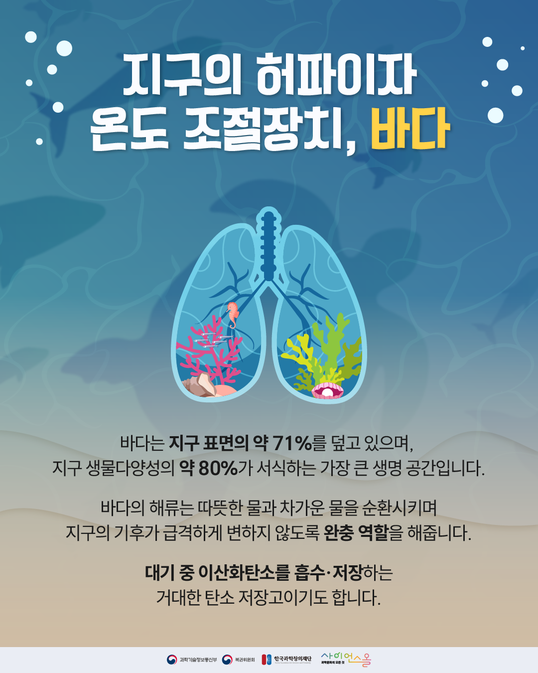 세계 해양의 날 3