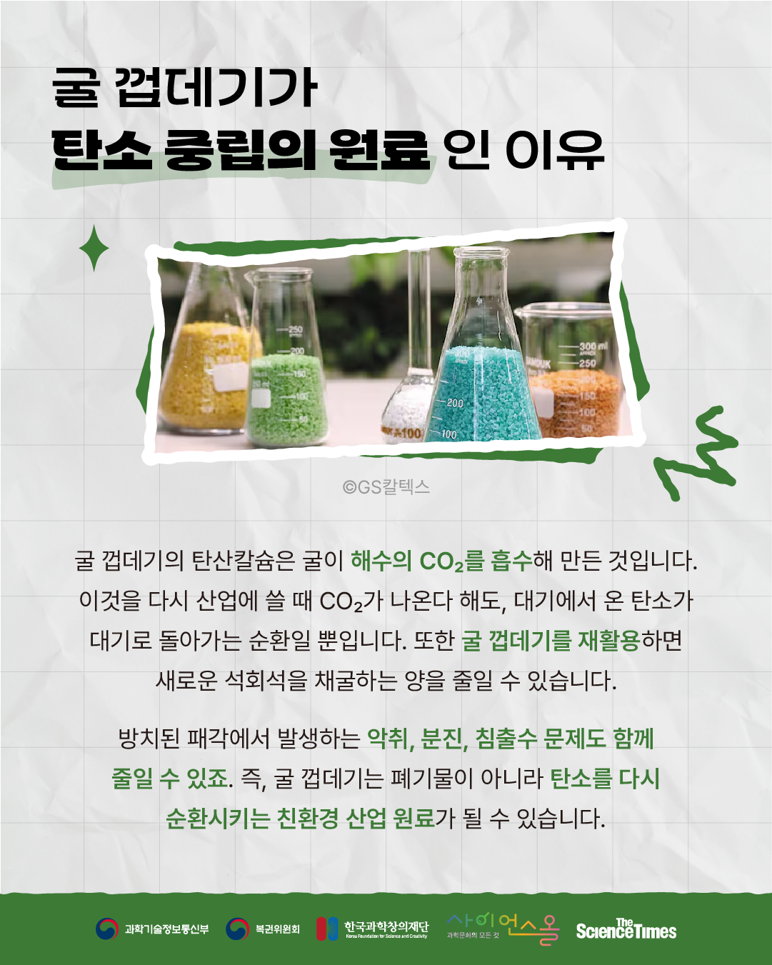 굴 껍데기 6