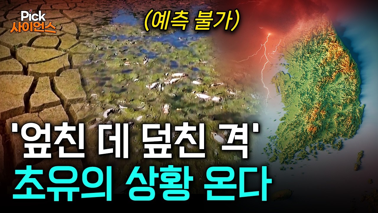 “떼죽음, 수천조 증발” 엘니뇨가 몰고 온 사상 초유의 상황, 전문가들도 '예상 못 했다'..한반도에 닥칠 '최악의 위기' / YTN 사이언스