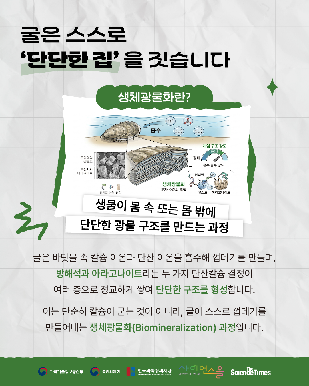 굴 껍데기 4