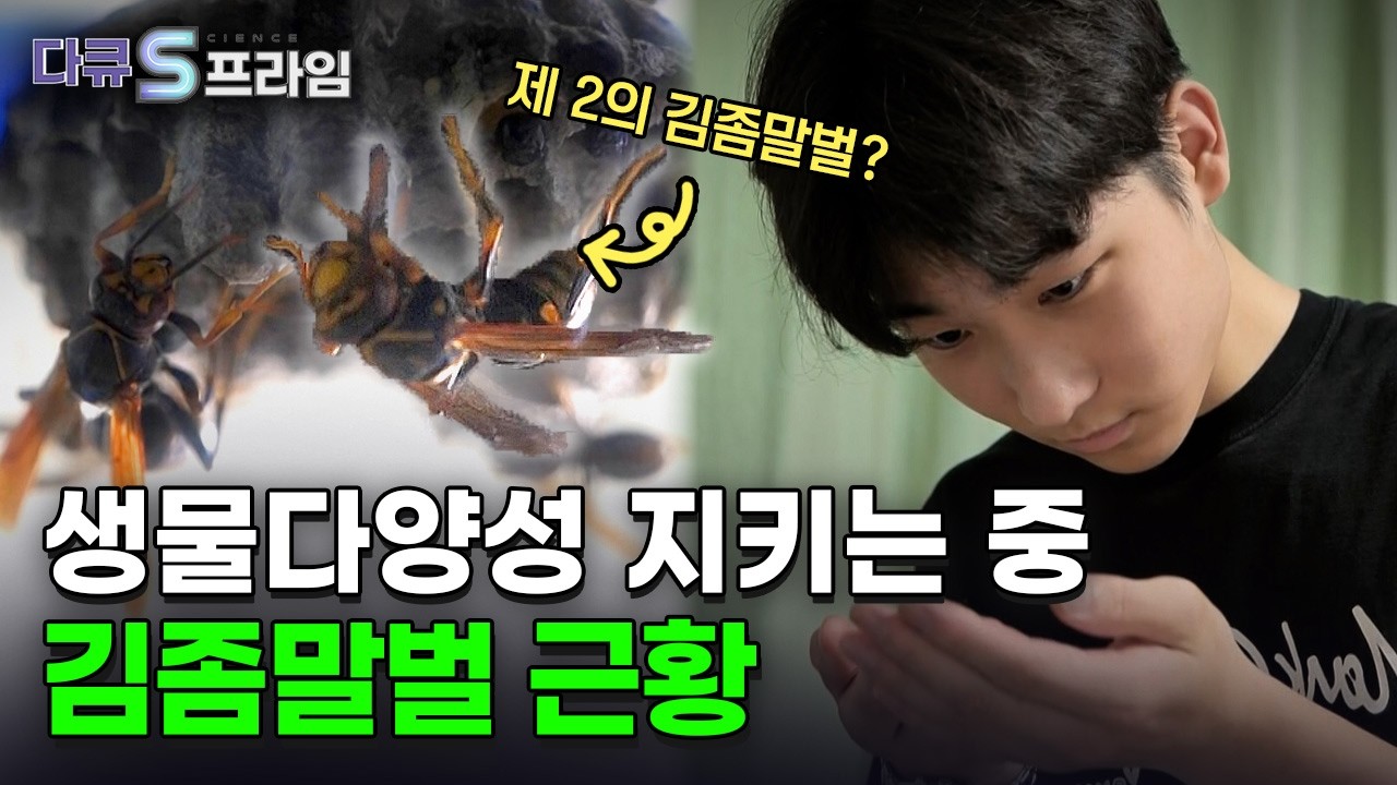 [다큐S프라임] 생물다양성, 곤충에게 길을 묻다