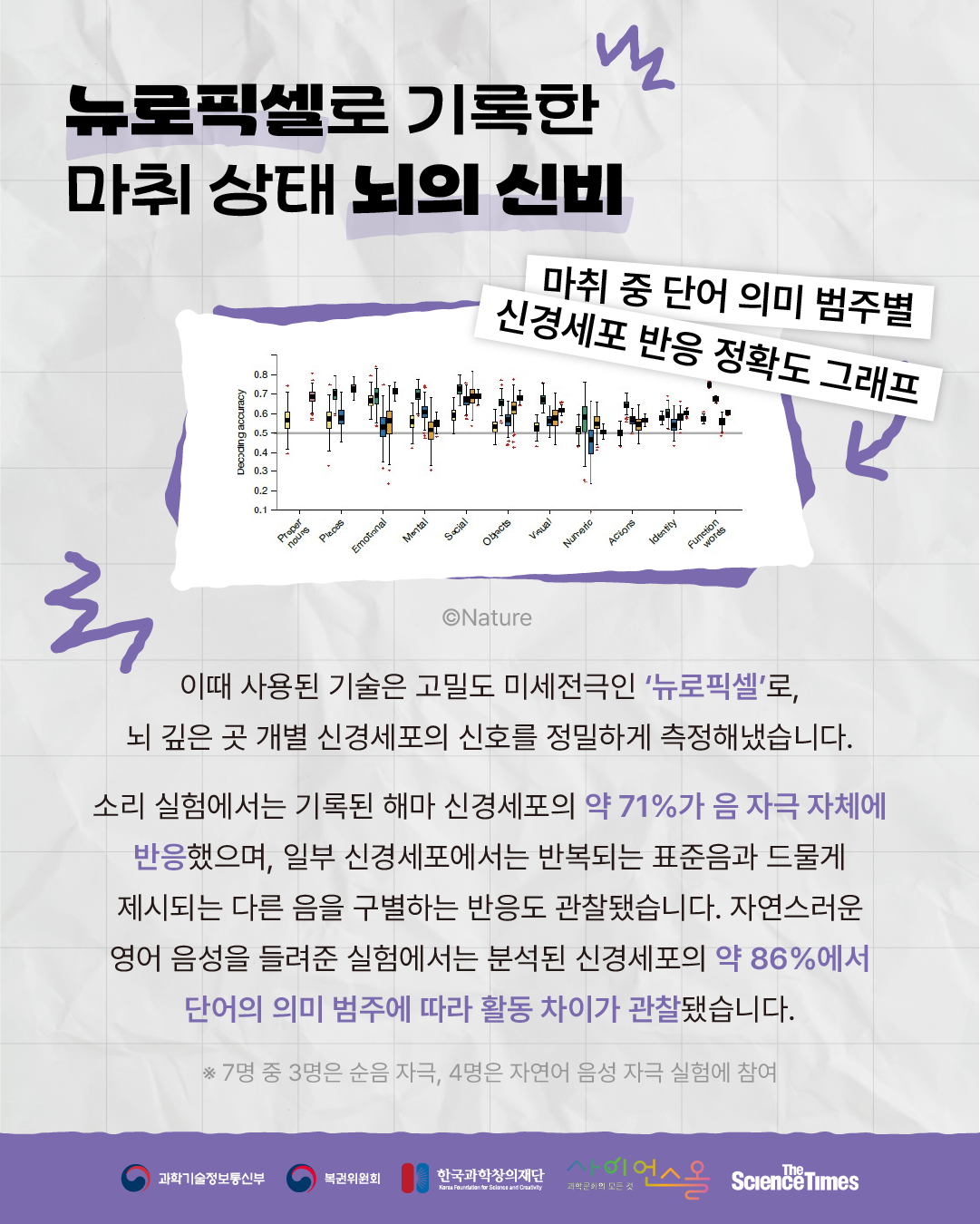 마취된 뇌 5