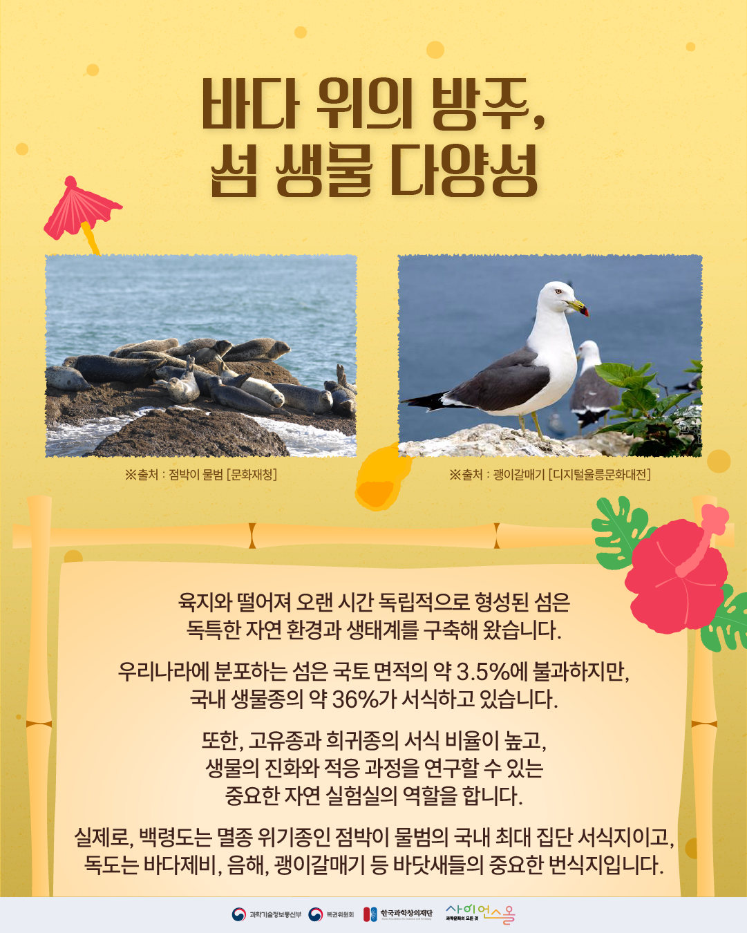 섬의 날 4