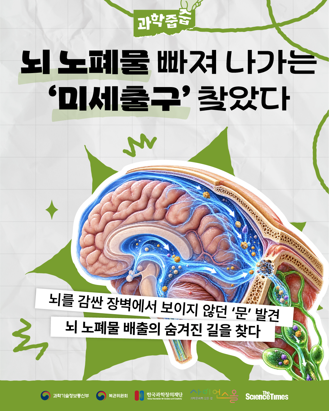 뇌 노폐물 미세출구 1