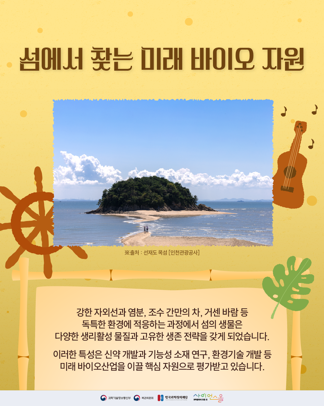 섬의 날 6