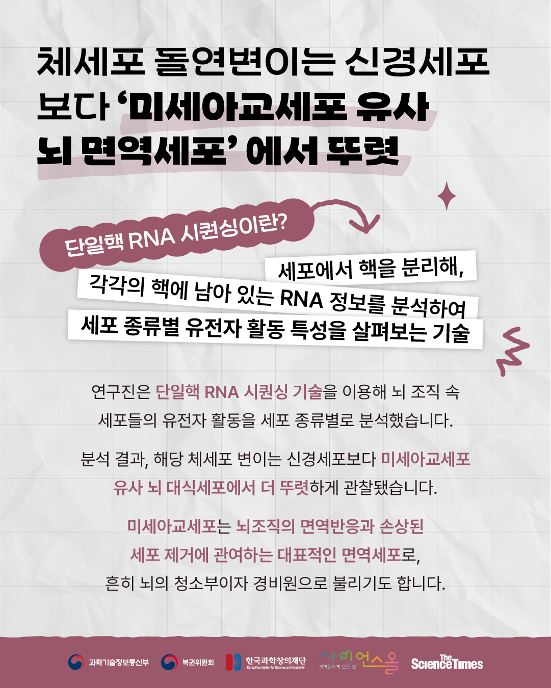 알츠하이머병 5