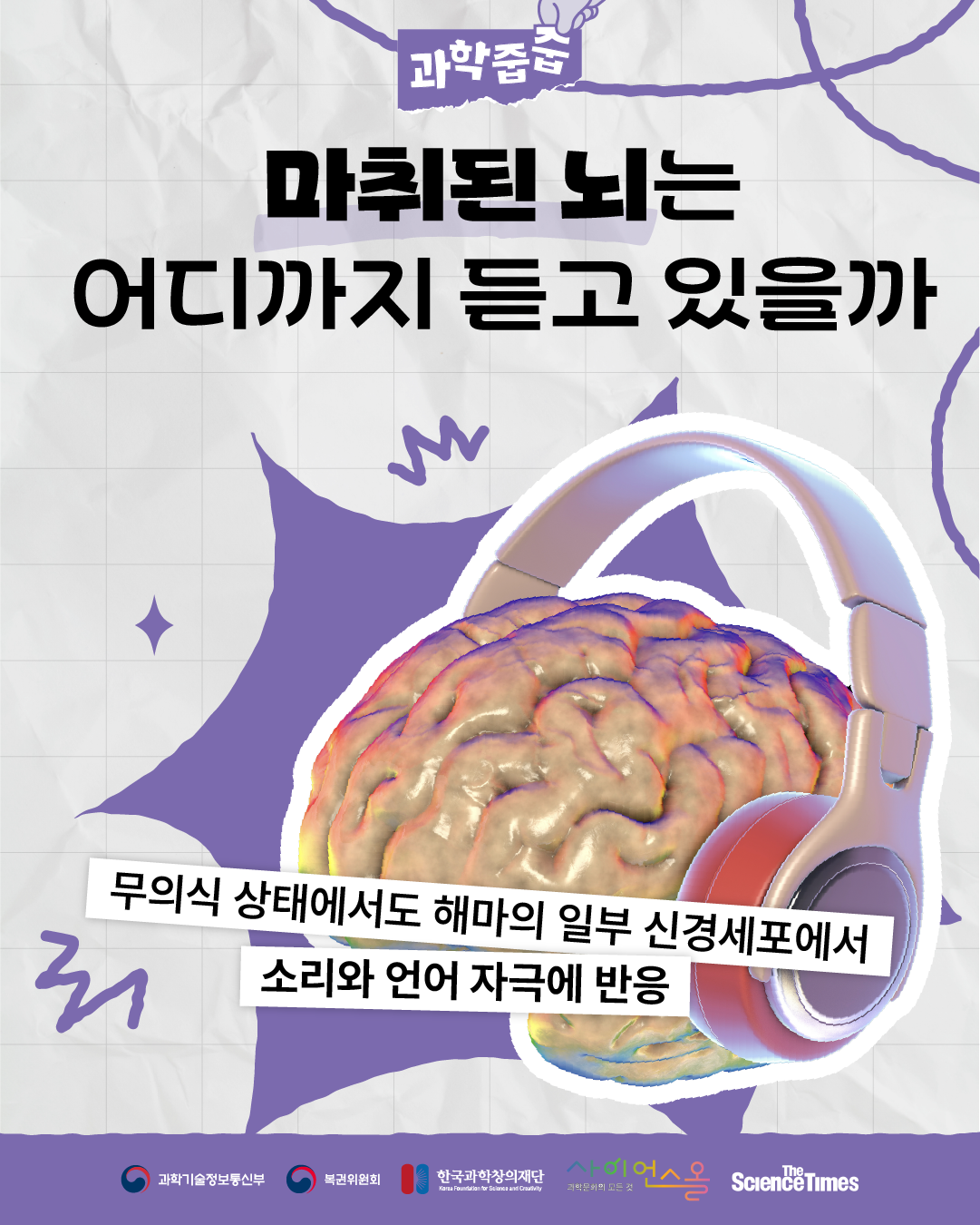 마취된 뇌 8