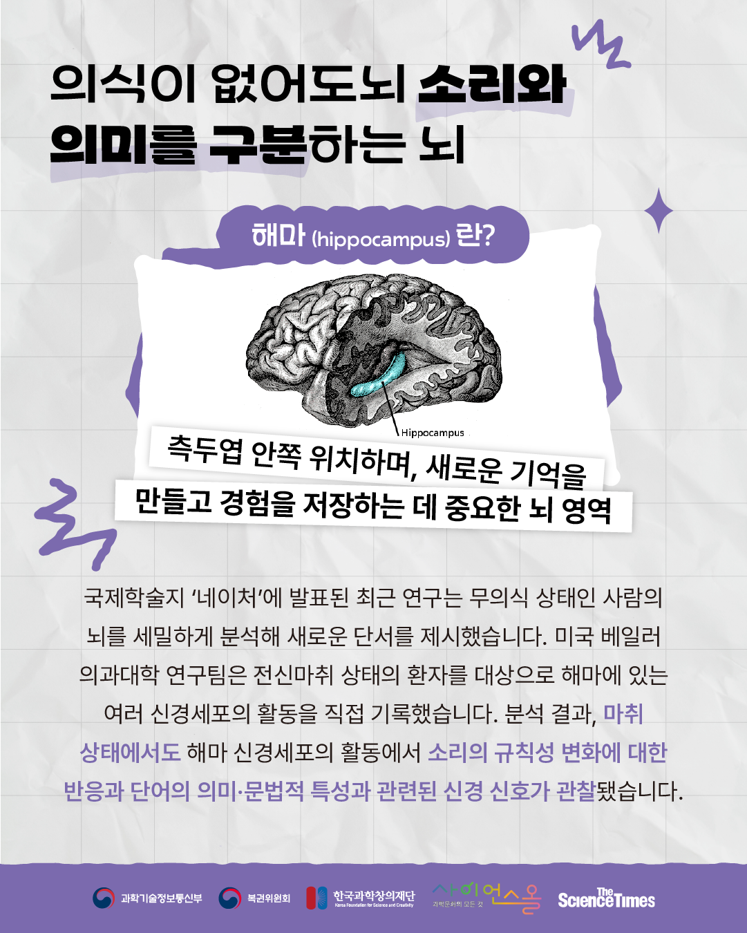 마취된 뇌 3