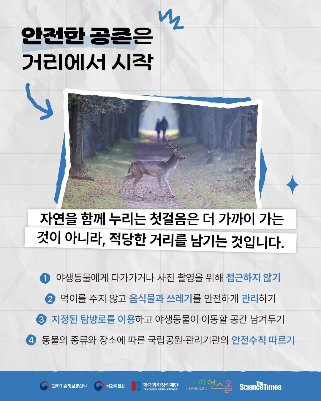 야생동물 6