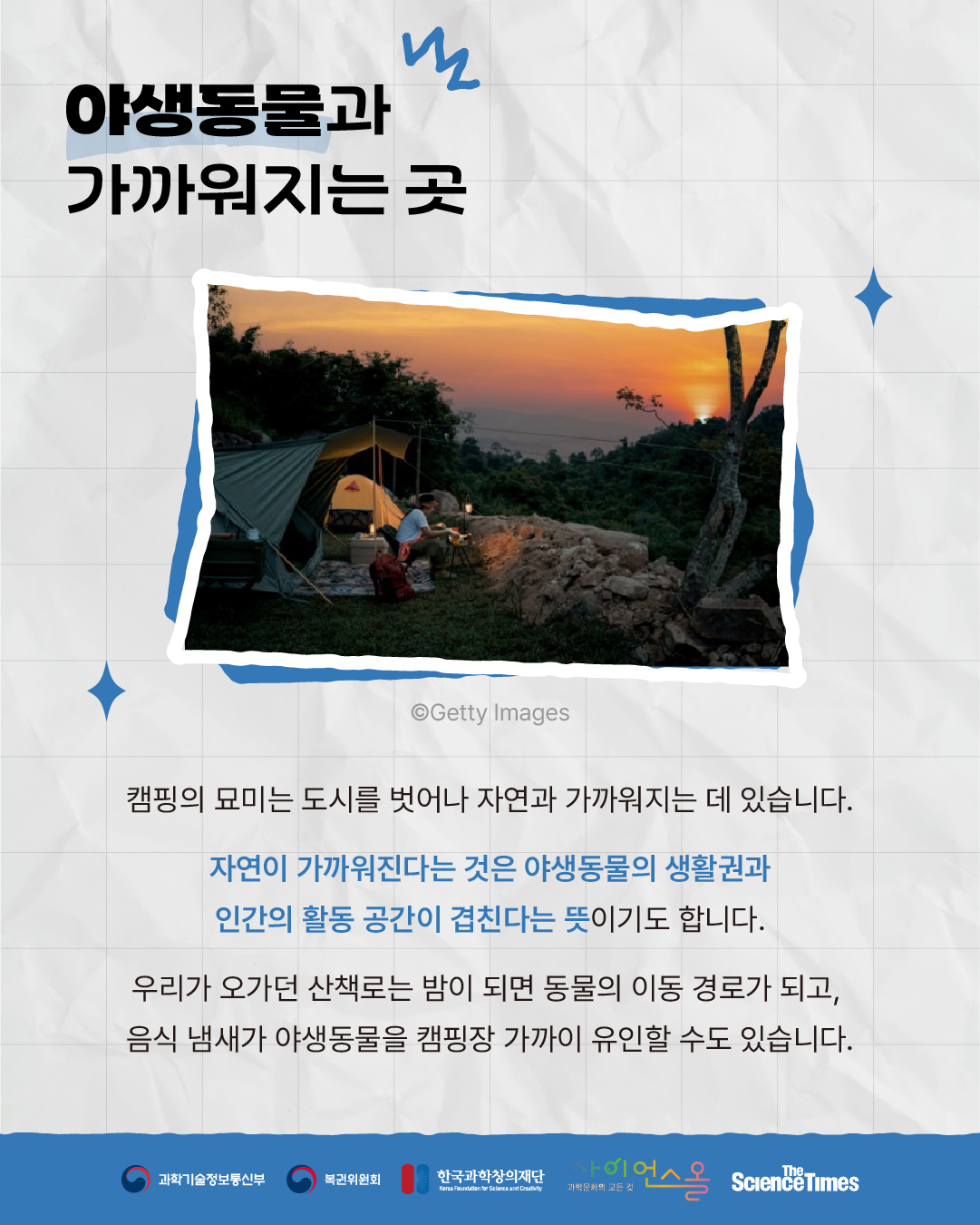 야생동물 2