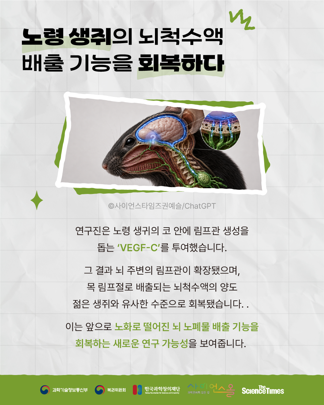 뇌 노폐물 6