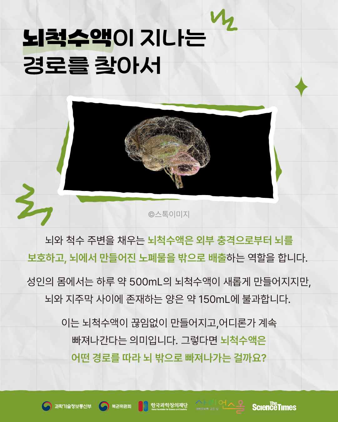 뇌 노폐물 2