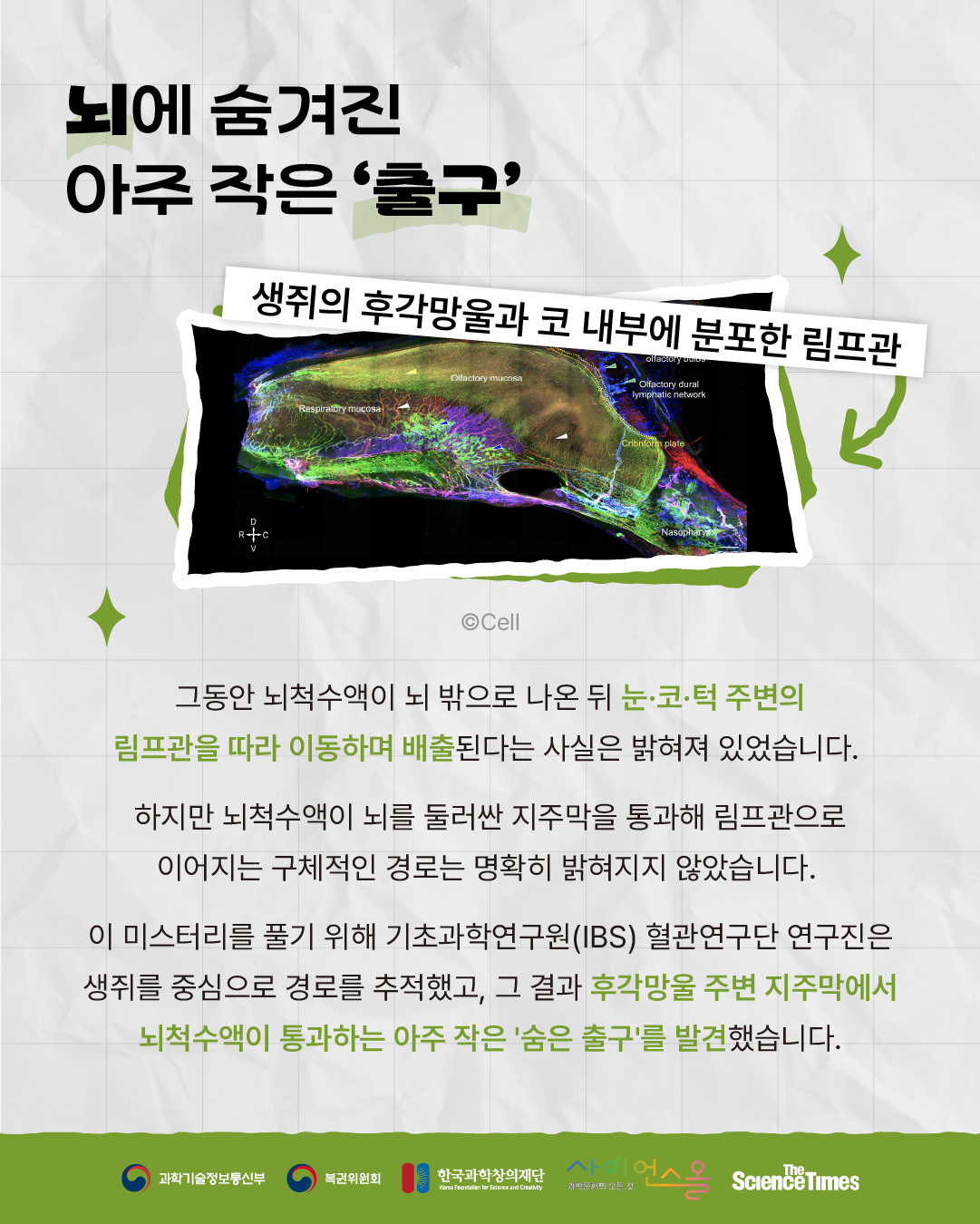 뇌 노폐물 3