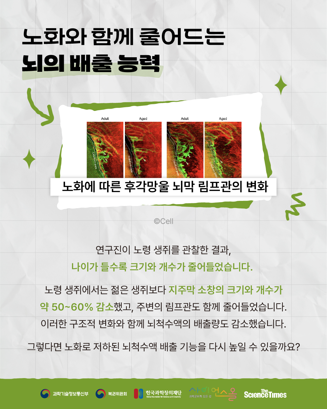 뇌 노폐물 5