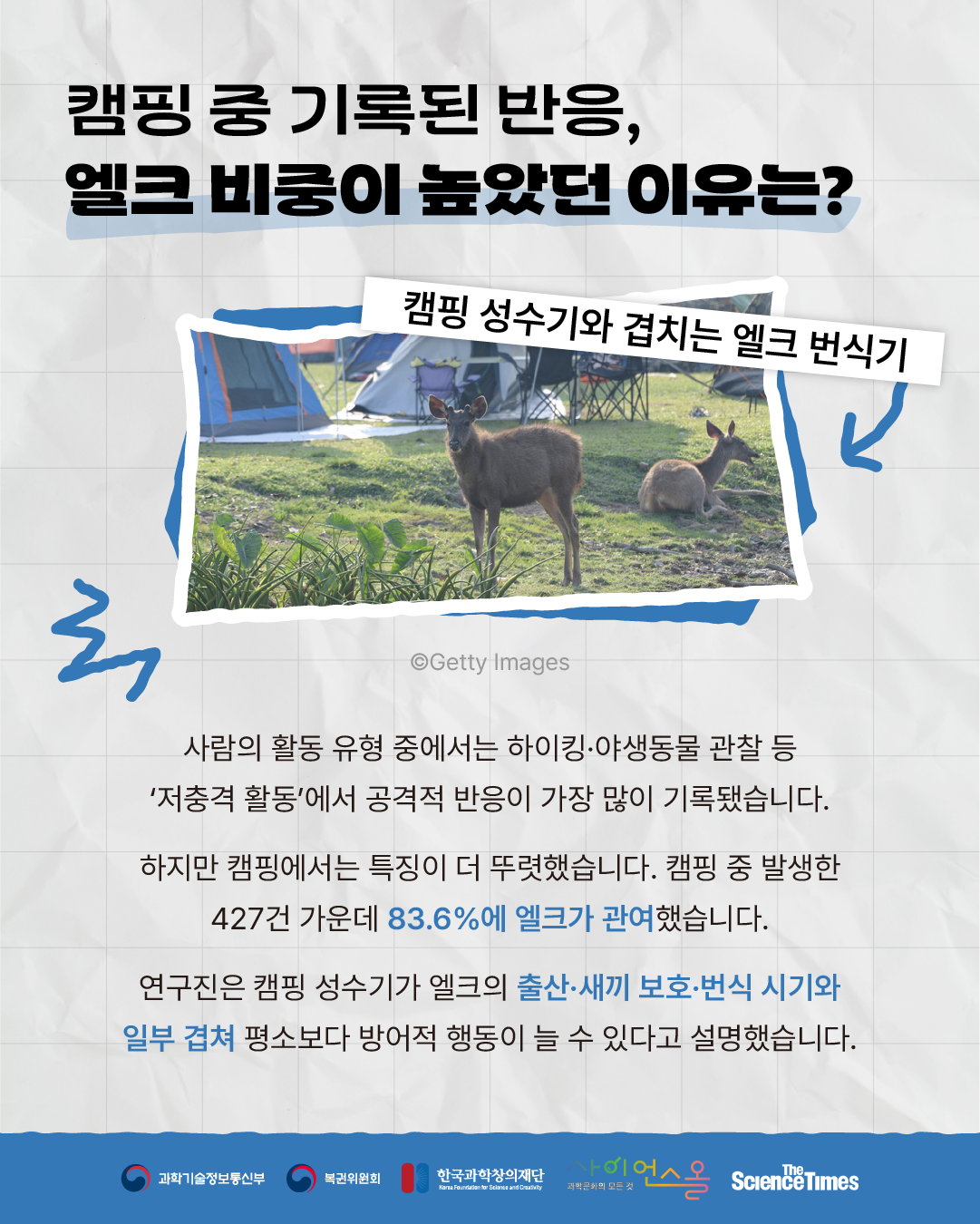 야생동물 5