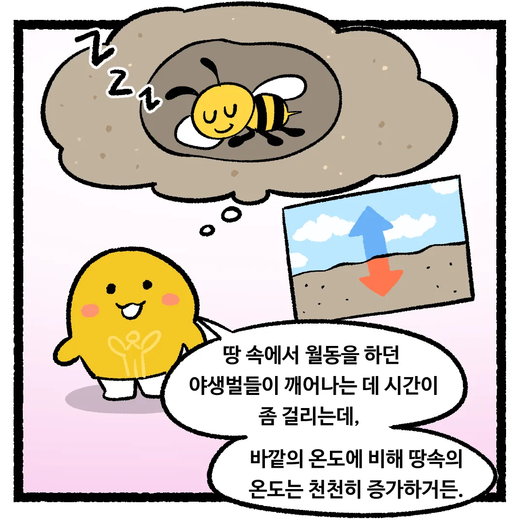2화_봄꽃이 빨리 피면 꿀벌들에게 안 좋은 이유