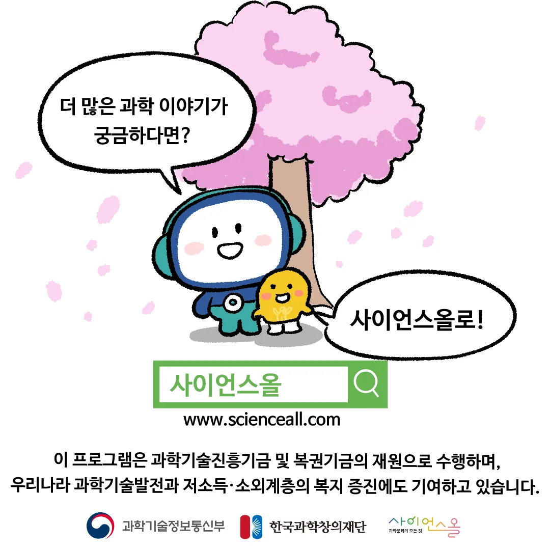 2화_봄꽃이 빨리 피면 꿀벌들에게 안 좋은 이유