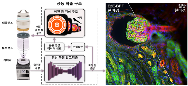 공동학습