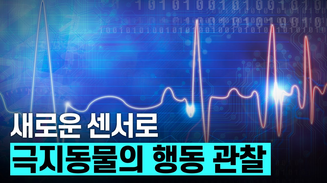 새로운 센서로 극지동물의 행동 관찰