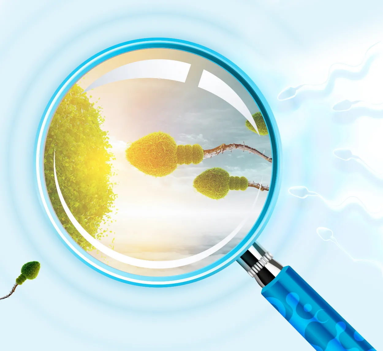 [과학향기 Story] 고주파 초음파로 살아난 정자, 난임 문제 해결할까