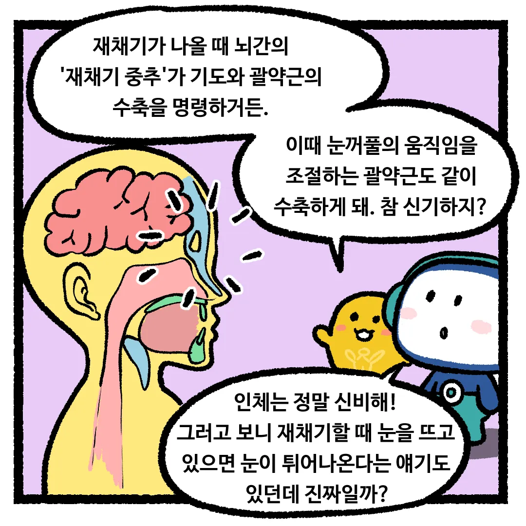 4화_재채기할 때 저절로 눈이 감기는 이유