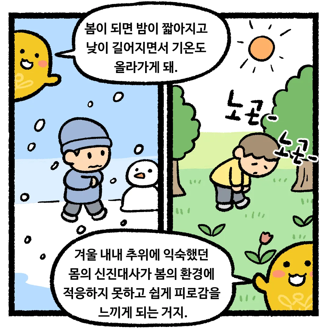 5화_봄이 되면 춘곤증이 생기는 이유