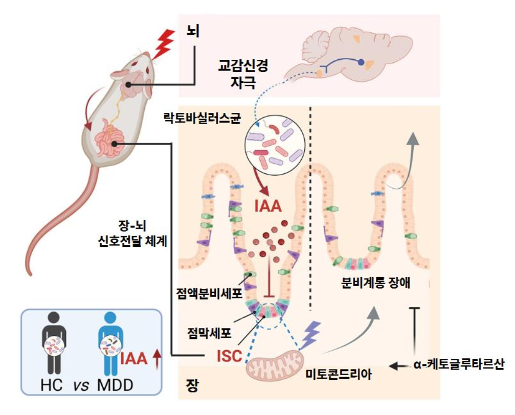 미생물