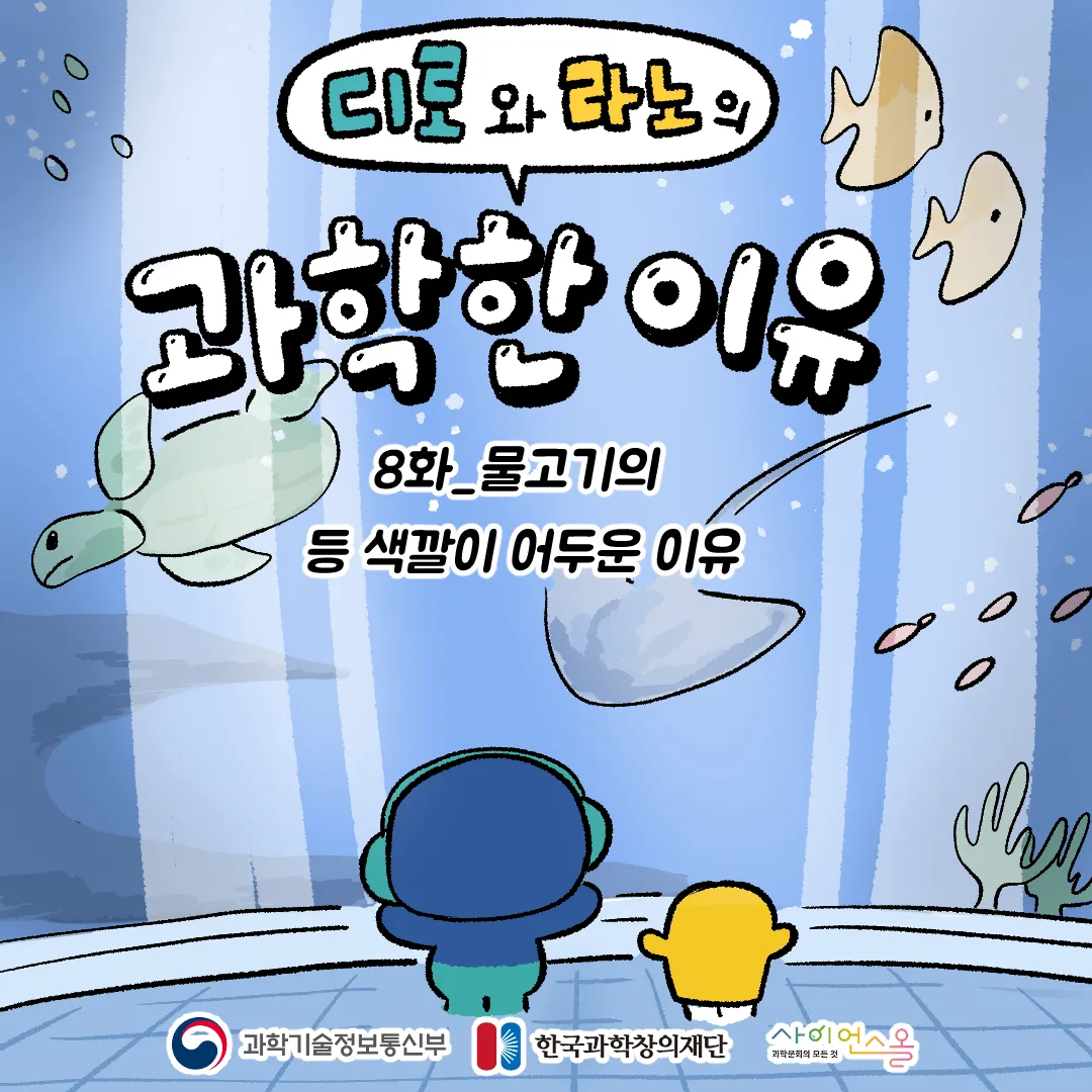 8화_물고기의 등 색깔이 어두운 이유