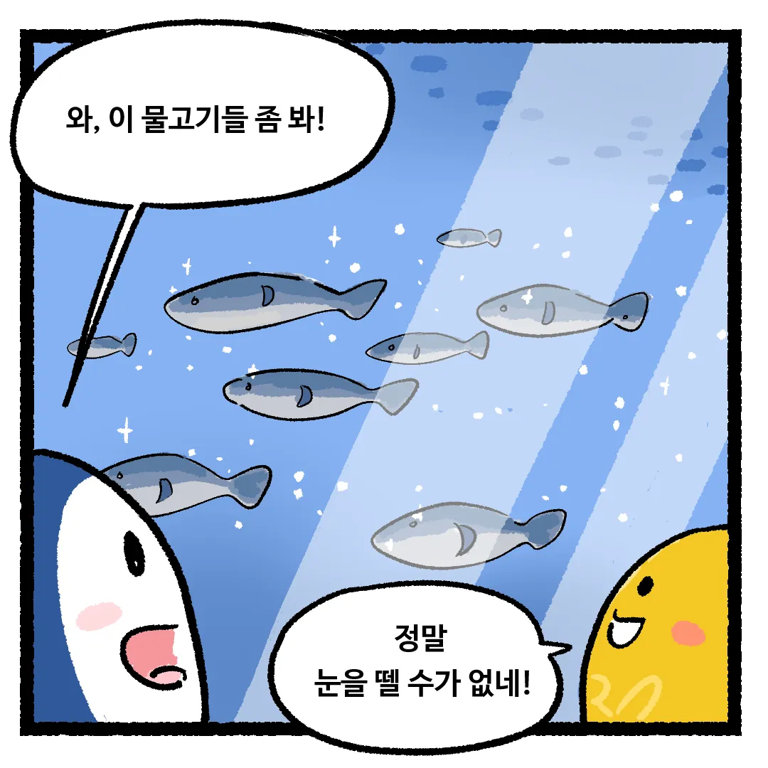 8화_물고기의 등 색깔이 어두운 이유