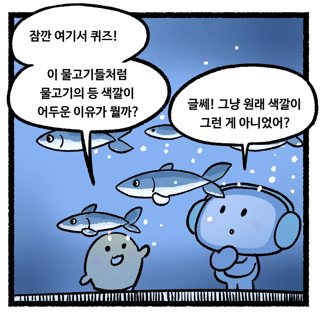 8화_물고기의 등 색깔이 어두운 이유