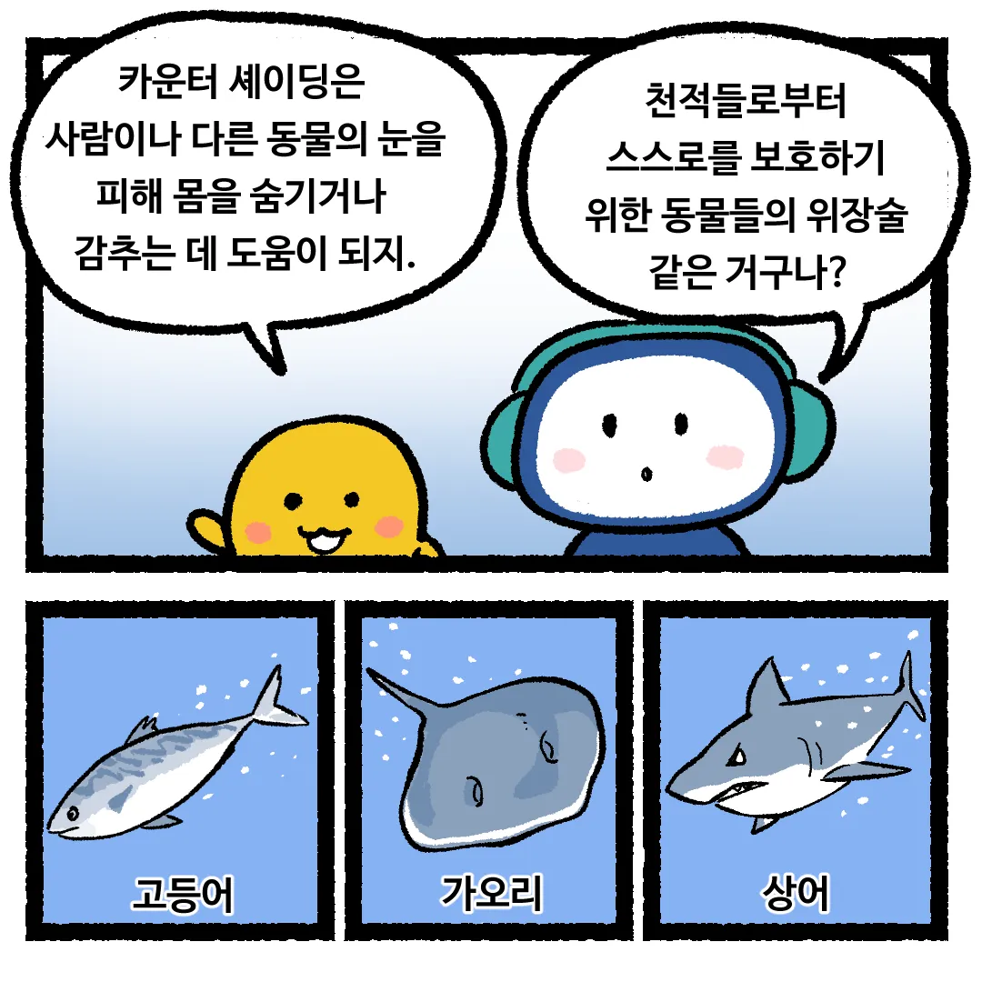 8화_물고기의 등 색깔이 어두운 이유