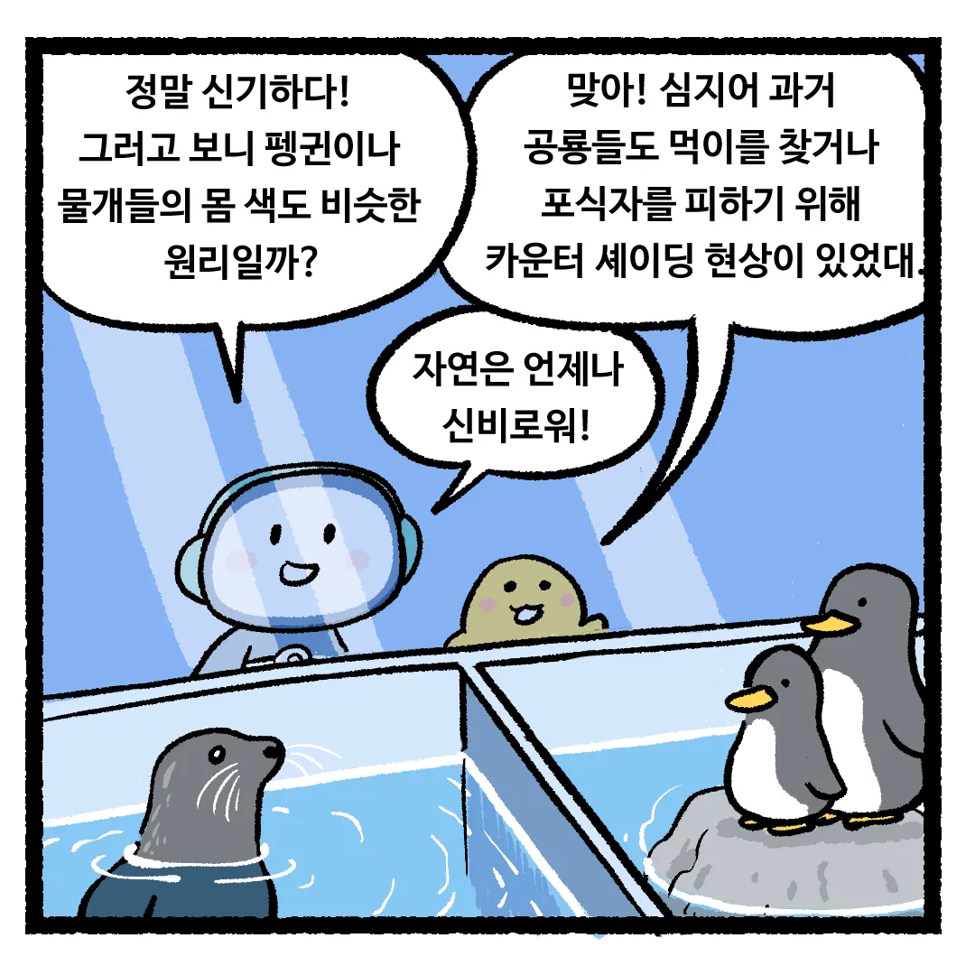 8화_물고기의 등 색깔이 어두운 이유