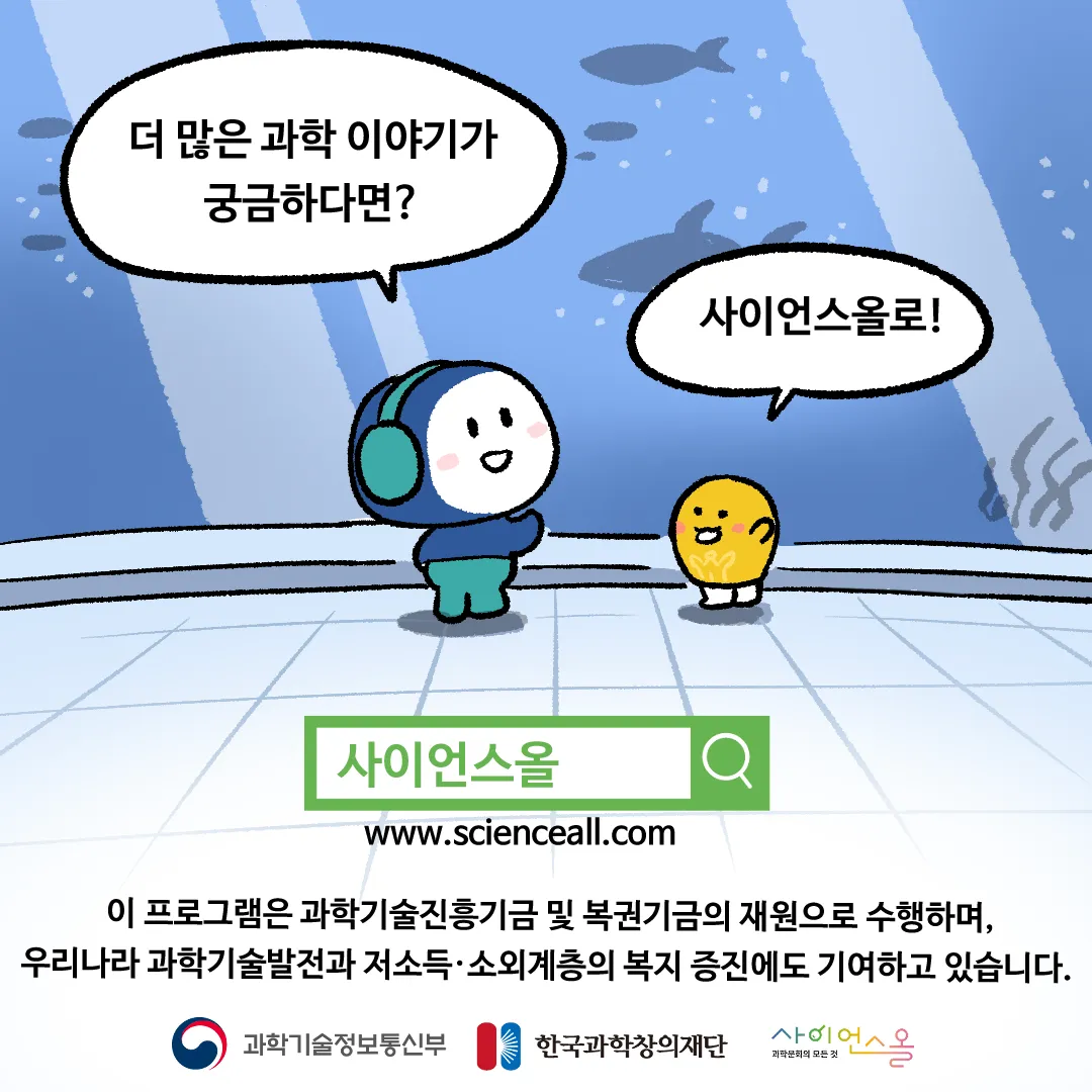 8화_물고기의 등 색깔이 어두운 이유