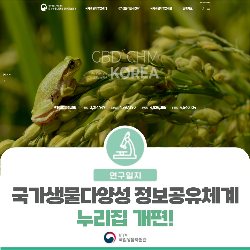국