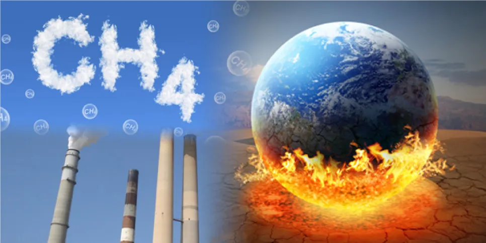 [연구일지] 지구온난화를 막는 착한 세균, 메탄자화균!