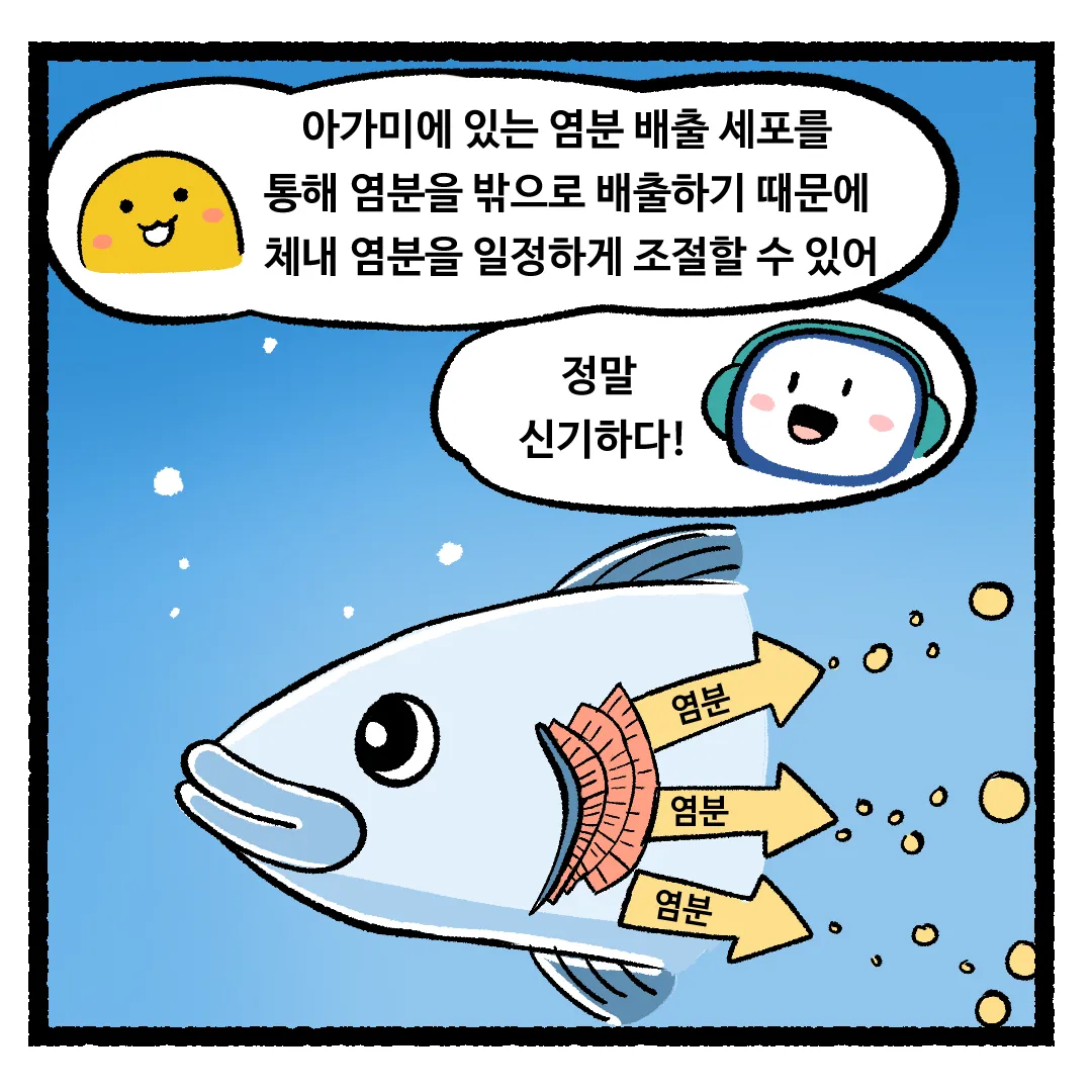 14화_바다생물이 바닷물을 마셔도 살 수 있는 이유