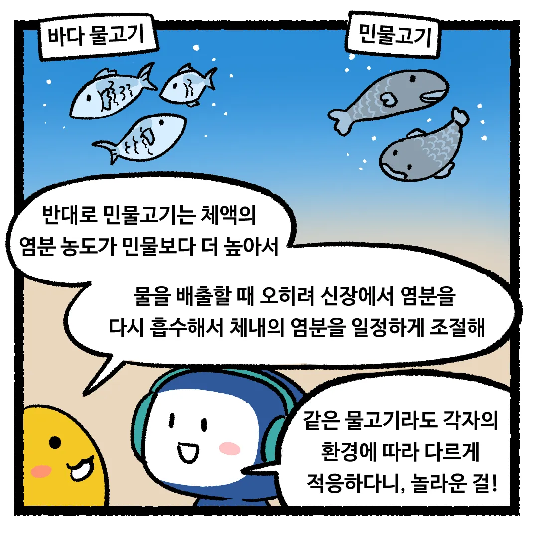 14화_바다생물이 바닷물을 마셔도 살 수 있는 이유