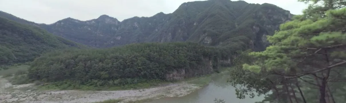 [VR] [VR 자연관찰] 강원도 영월 동강