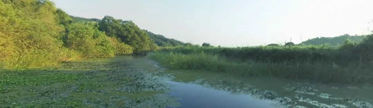 [VR] [VR 자연관찰] 경남 창원 우포늪