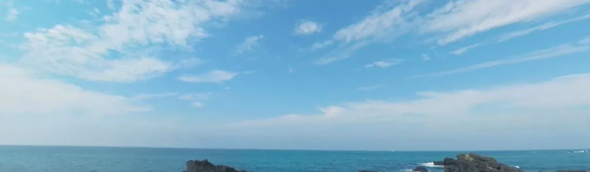 [VR] [VR 자연관찰] 제주 해안가