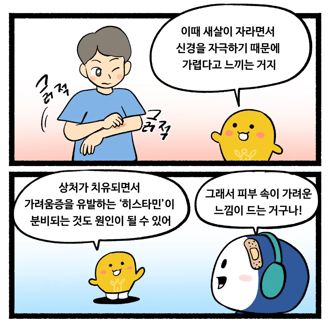16화_상처가 아물면서 가려운 이유