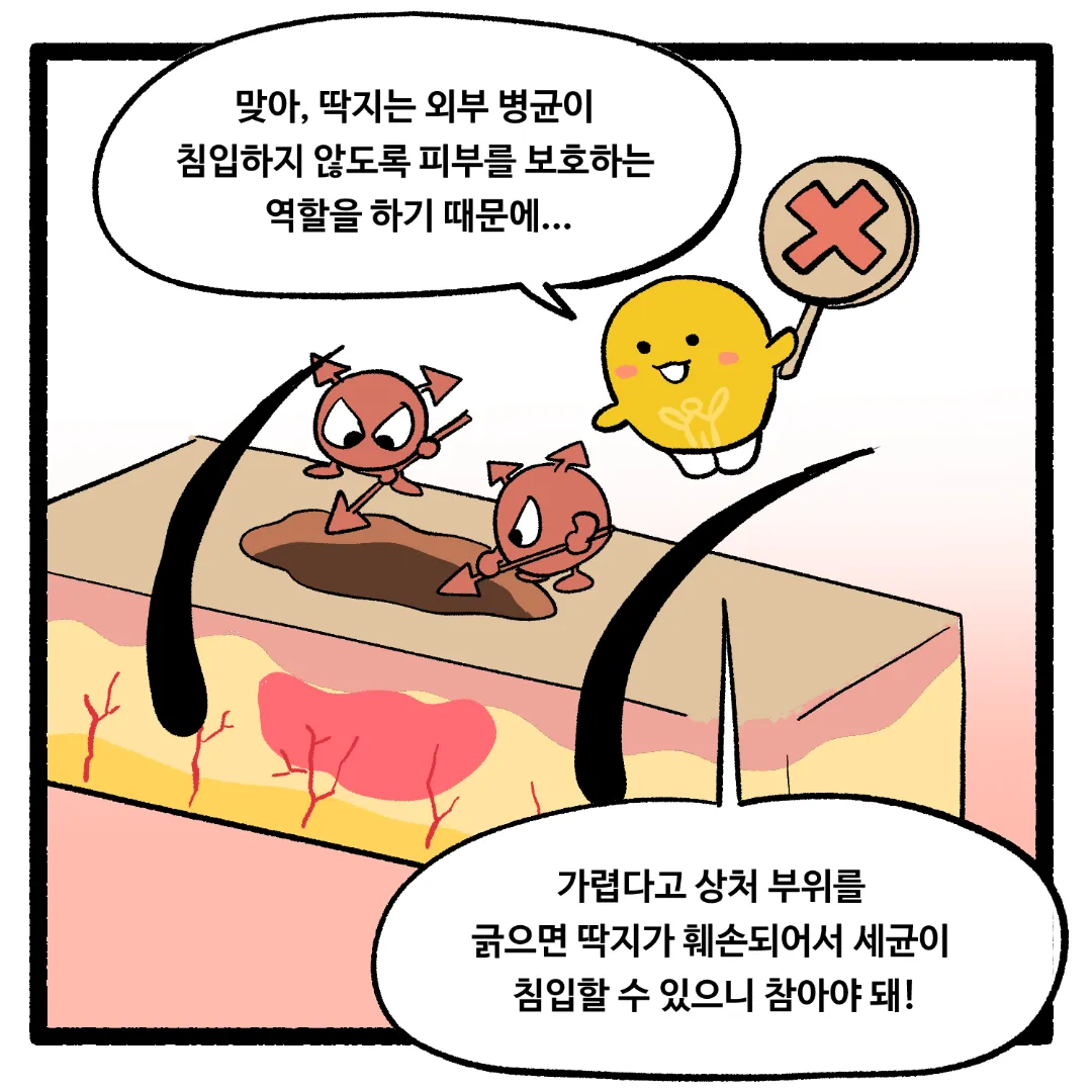16화_상처가 아물면서 가려운 이유